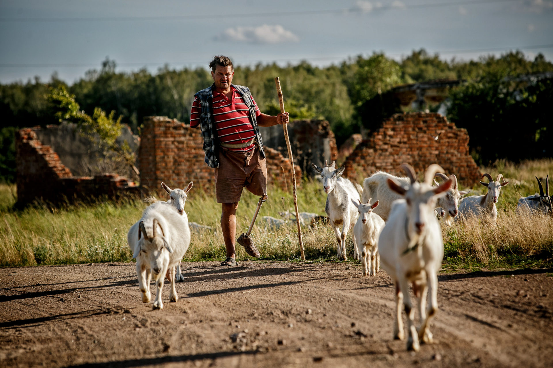 Сам собі пастир