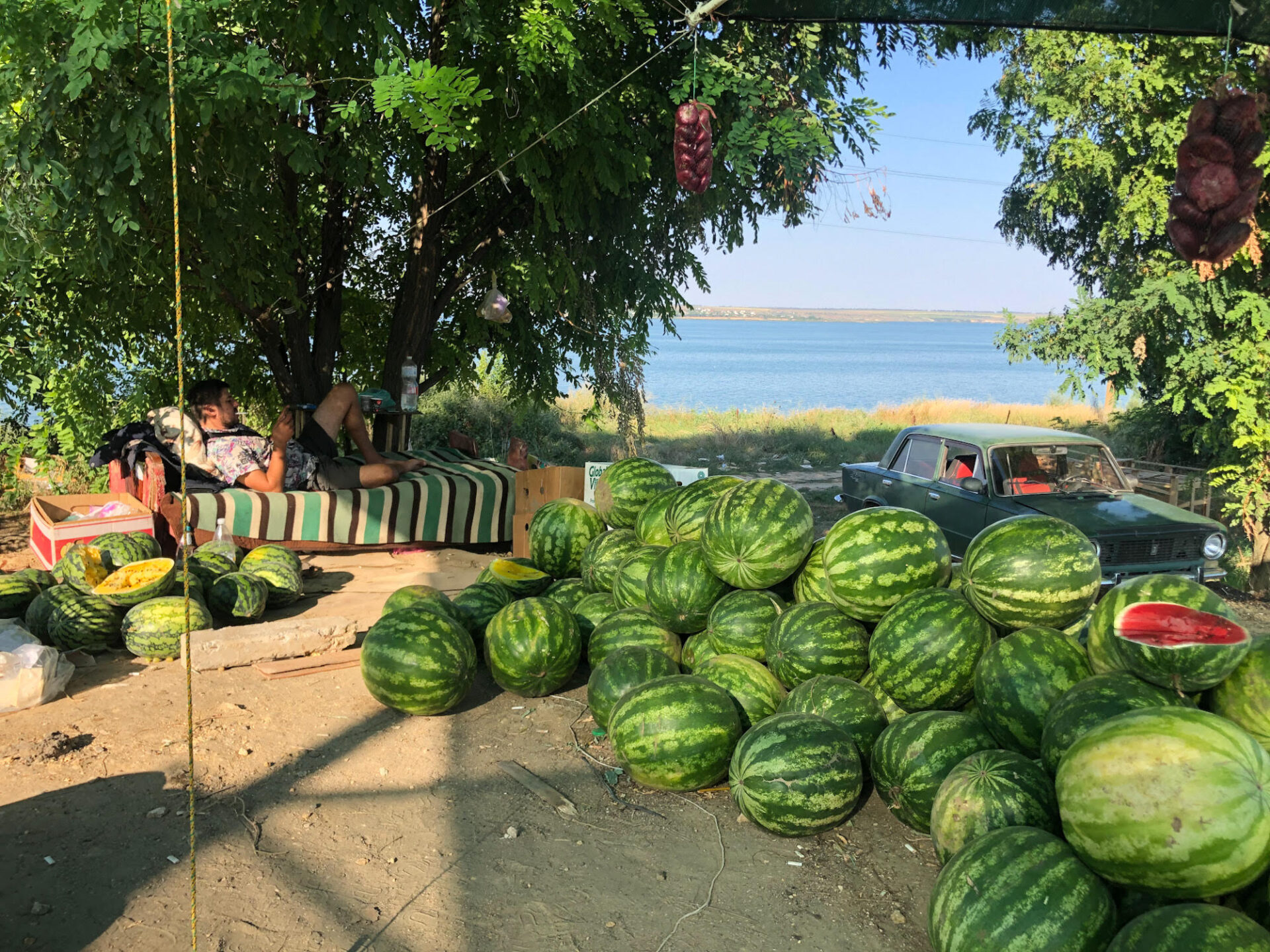 Кавуни