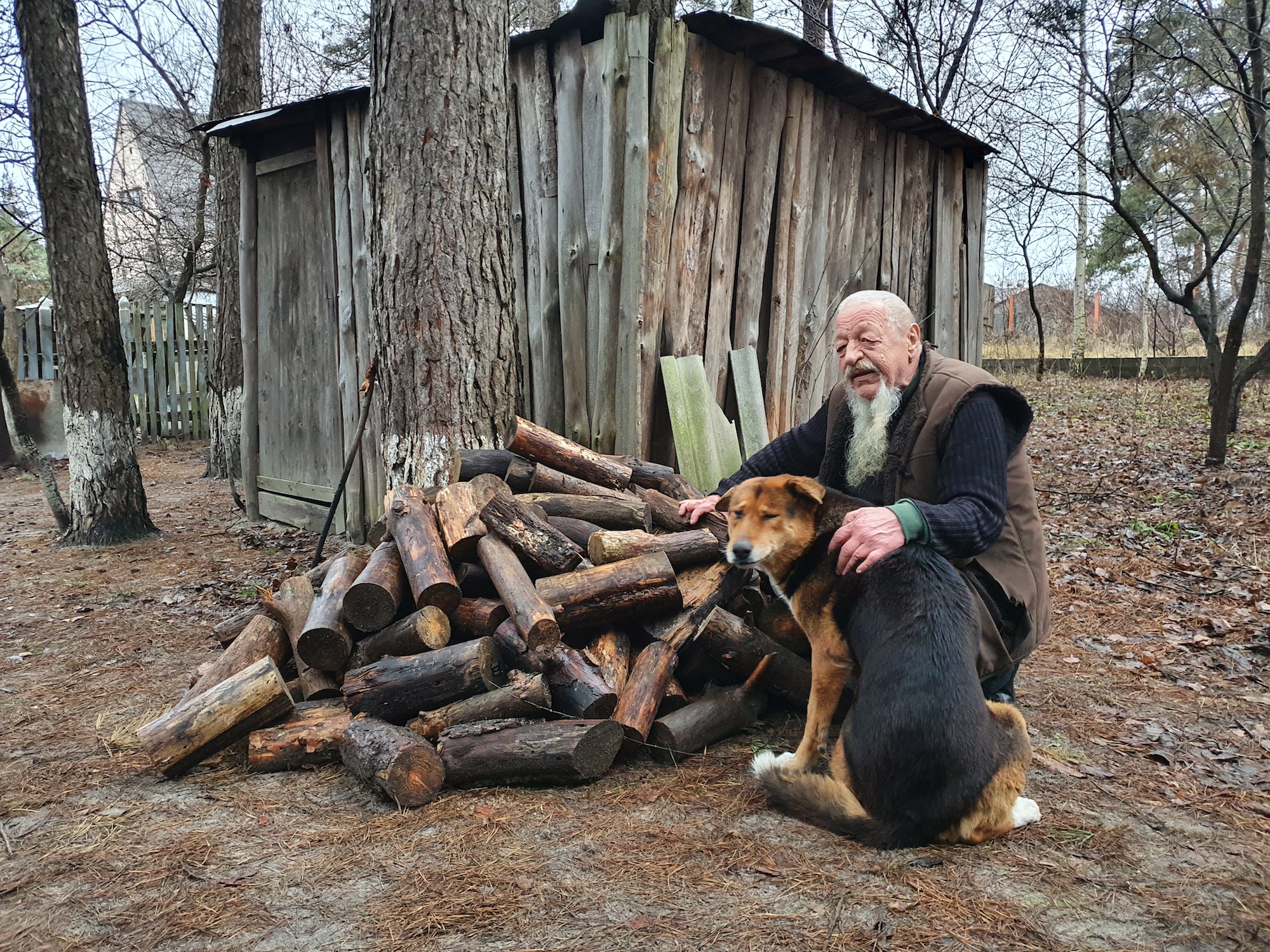 Дві машини дрів на зиму