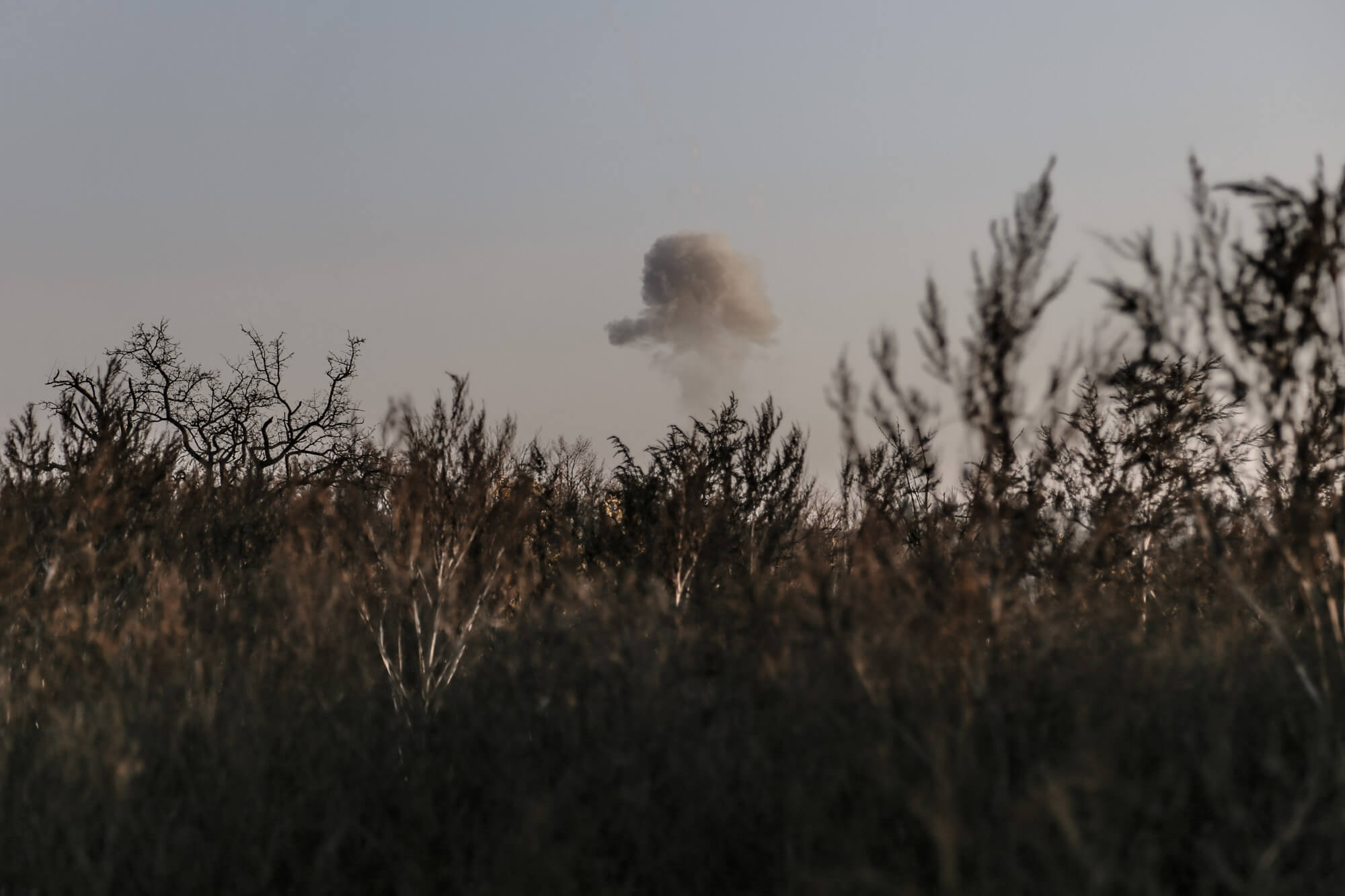 Тіло невідомого під номером 55 Тіло невідомого під номером 55