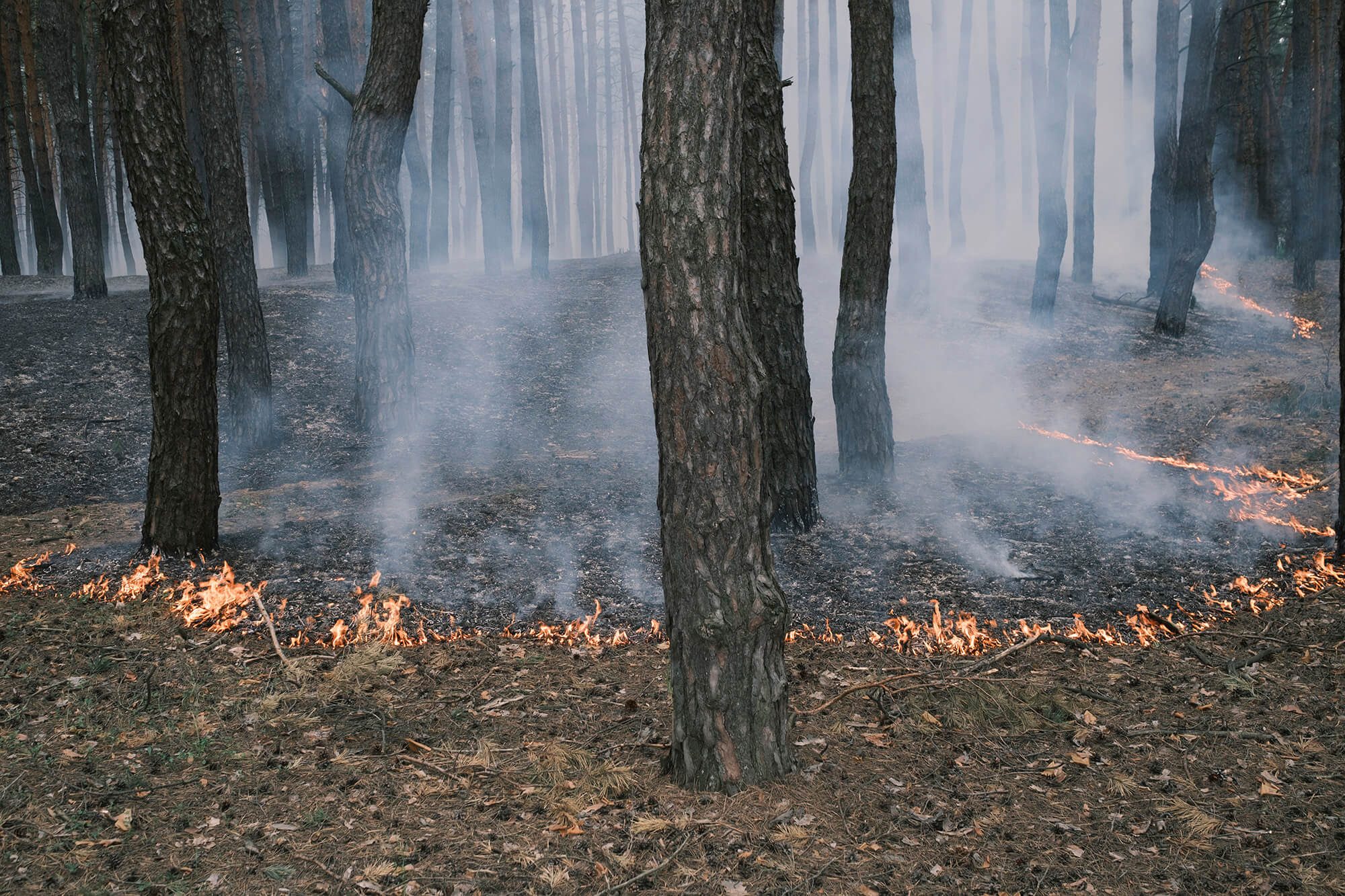 Ворог активізувався на півночі Харківщини. Фоторепортаж з Вовчанська і околиць, де триває евакуація